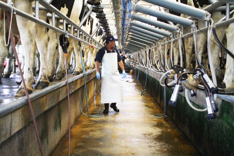 Agricultores suman tecnología y adecuan horarios para ahorrar luz