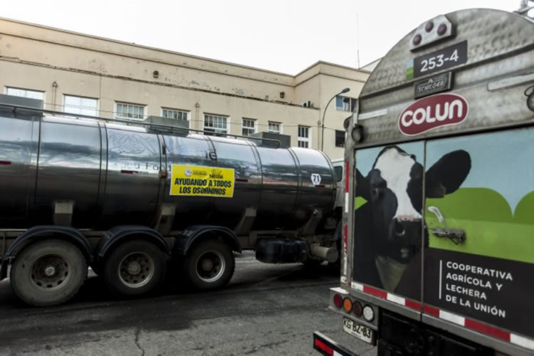 Recepción de leche cruda sufre quinta caída mensual consecutiva y bajó un 4,3% en octubre 