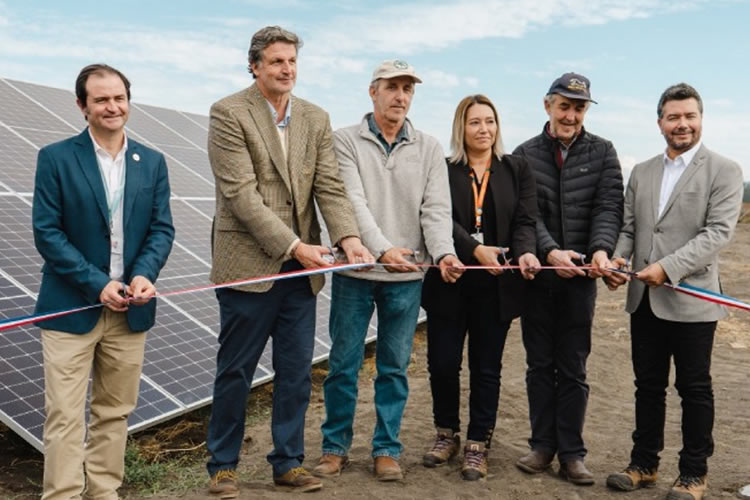 Lácteos Matthei y Colbún Inauguran Planta de Energía Solar 