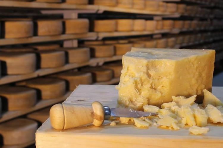 Convocatoria "Gruyère" y "Parmesano": Acuerdo de Asociación Chile – Unión Europea trae cambios para producción chilena