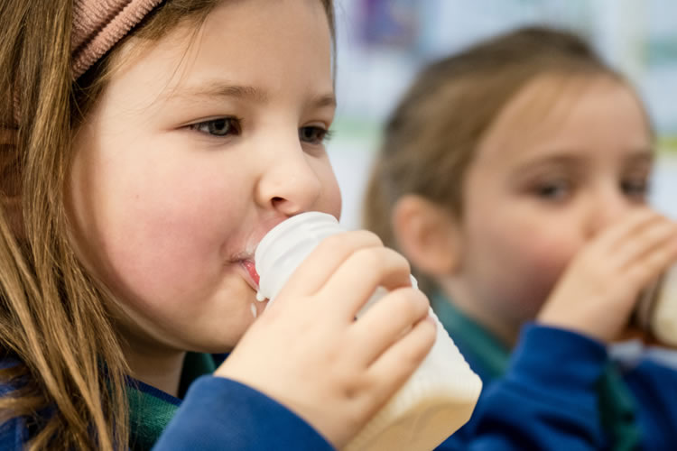 ¿Cómo la leche mejora la digestión de tus hijos?