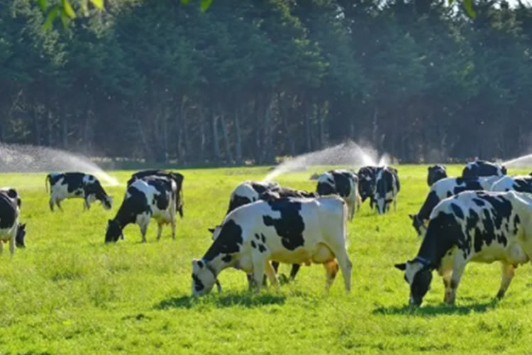 Fedeleche llama a los productores a preocuparse del nuevo marco medioambiental