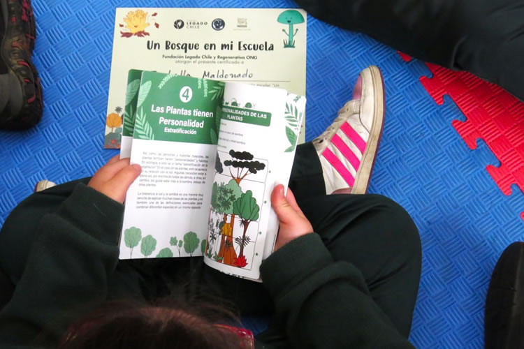Nestlé Chile implementa programa para cuidar el suelo en escuelas rurales