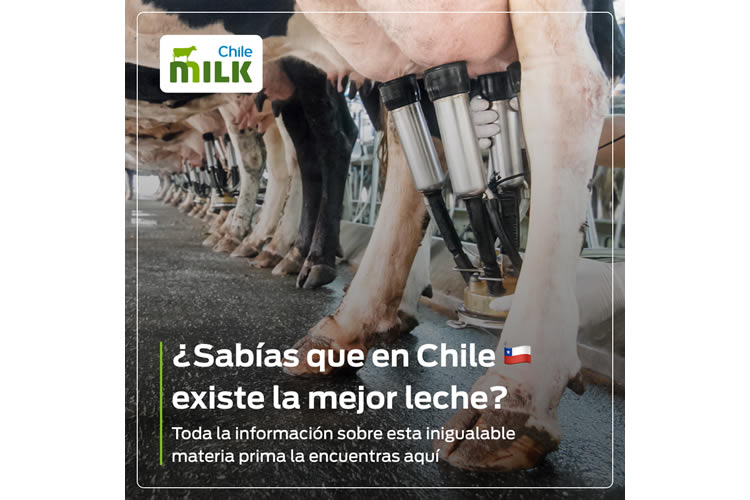 Chilemilk discute planificación para próximos años