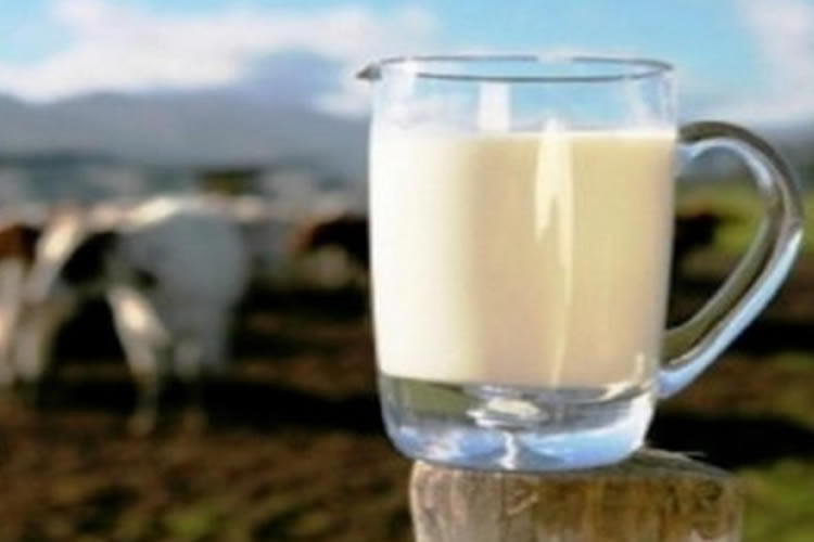 El IPC de los lácteos anota un comportamiento al alza en abril 2024
