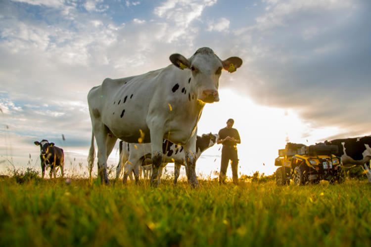 ¿Cuál es el precio que han pagado las principales industrias lácteas de la UE en marzo?
