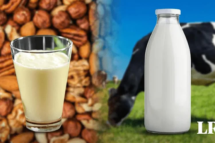 La OMS alerta del riesgo de consumir bebidas vegetales en vez de leche animal