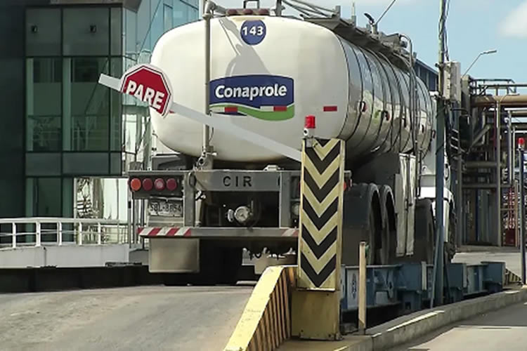 Uruguay: Conaprole aumentó el precio de la leche para productores