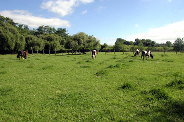 La producción de leche en la UE alcanzó 160,8 millones de toneladas en 2023