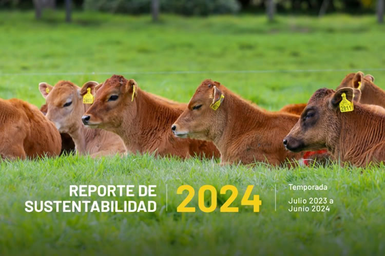 Manuka presenta su Reporte de Sustentabilidad 2024