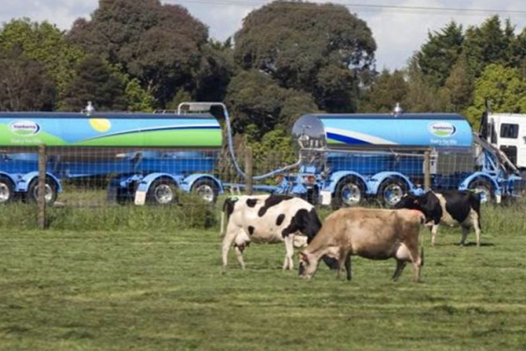 Exportadores lácteos de NZ, EE.UU. y Australia  llaman a tomar medidas contra Canadá