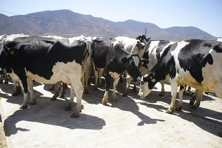 Crece el robo de insumos y maquinaria junto a la sensación de inseguridad en los campos