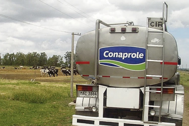 Uruguay: Conaprole es seleccionada como finalista en los IDF Dairy Innovation Awards 2025