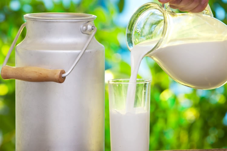 Leche A2: el nuevo producto lácteo que conquista a casi 100 consumidores por sus beneficios digestivos y nutricionales