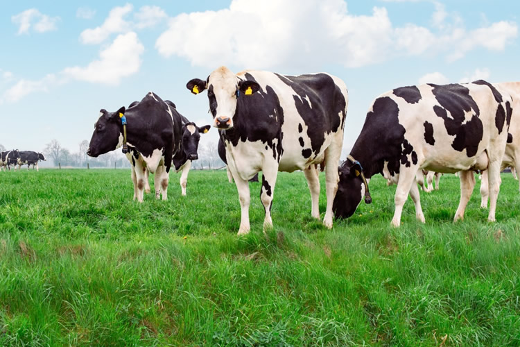 Opinión: “La defensa del desarrollo productivo” ✍️