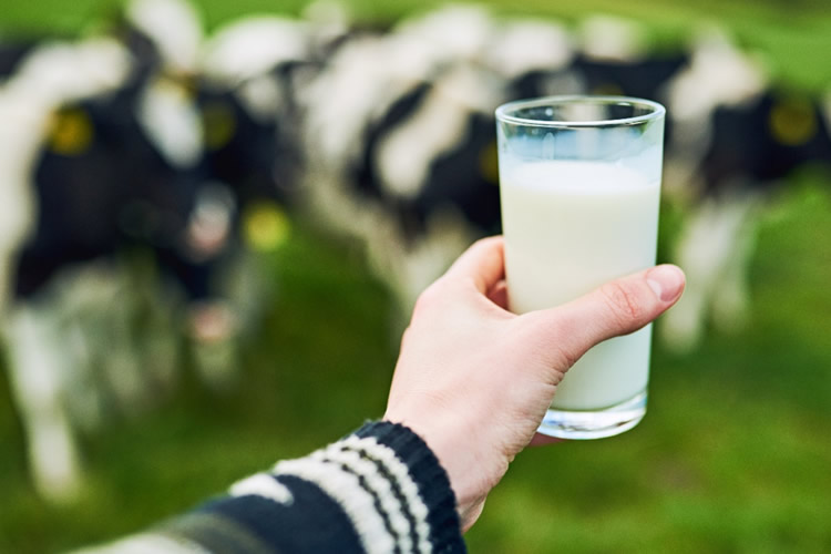 Retrospectiva 2025: Contexto Internacional del mercado lácteo 