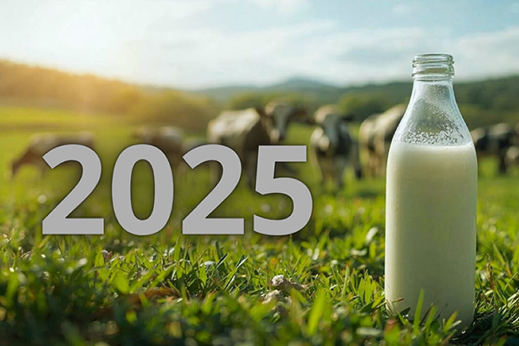 Recuento de los temas gremiales clave de 2025 (segundo semestre)