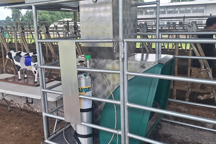 Greenfeed: nueva tecnología mide emisiones en ganadería bovina