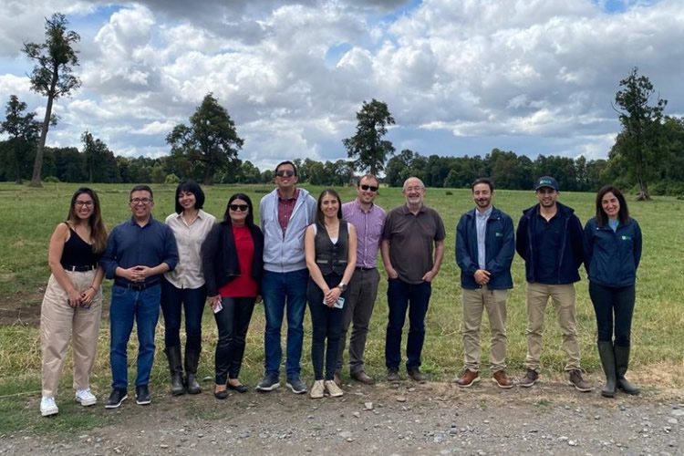 Comité Científico de Lácteos: impulsa la ciencia láctea con investigación chilena