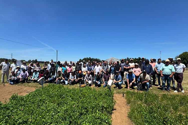 INIA realizó taller y día de campo sobre praderas y balance de nutrientes en el sur de Chile