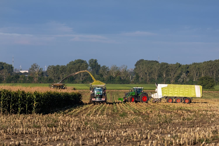 En el agro ven con buenos ojos al nuevo ministro