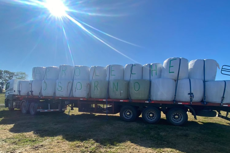 Aproleche Osorno se suma a campaña de apoyo por incendios forestales en el centro-sur del país