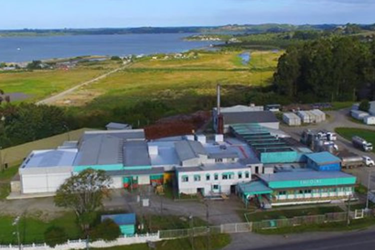 Fedeleche advierte efectos por cierre de Chilolac