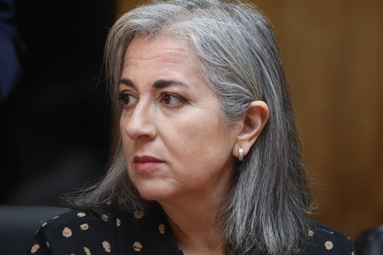 SAVAL FG | “Sembrar en incertidumbre”