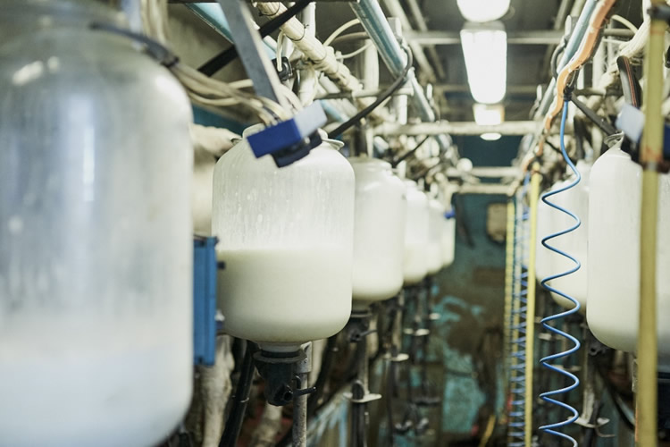 Importaciones de leche equivalente suben 16,3% a febrero 2026