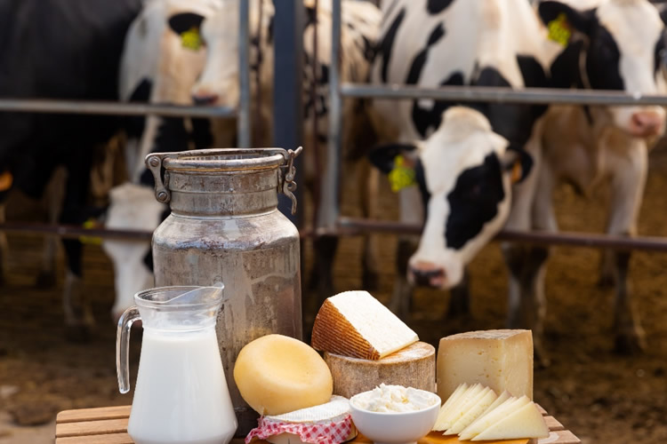 El Índice de Precios de los Productos Lácteos de la FAO registra su primer aumento desde julio de 2025