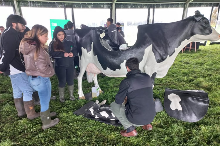 La ruta del estudiante inicio el Field Days Latinoamérica 2026 en Manuka Farm