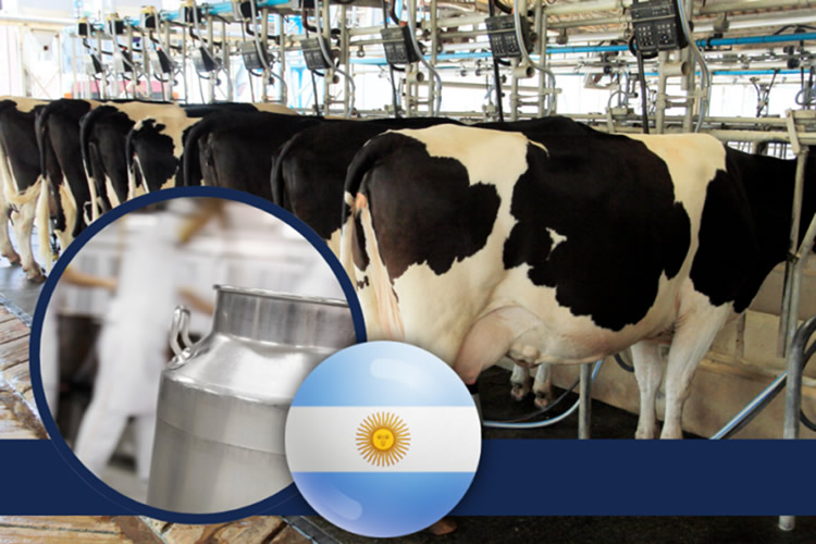 Argentina: Alerta en la cadena láctea, contraste entre producción y rentabilidad