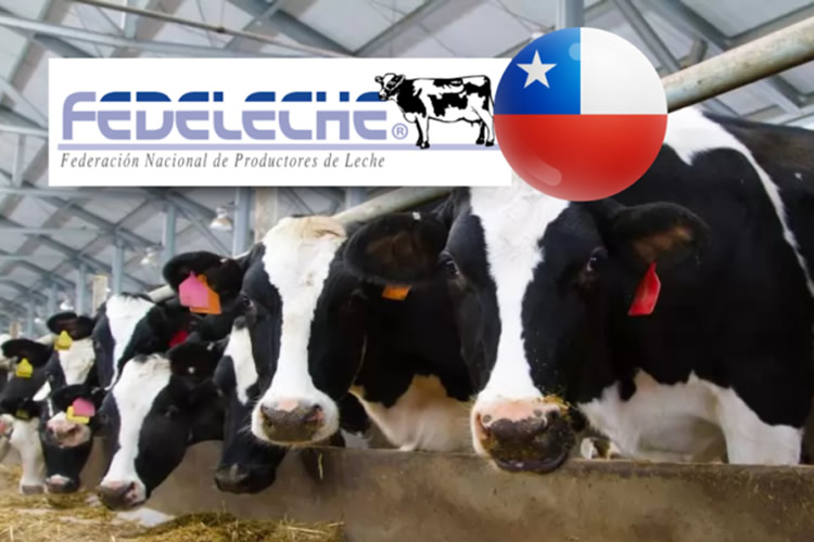 Gremio lechero advierte fuerte impacto del alza de costos en la producción