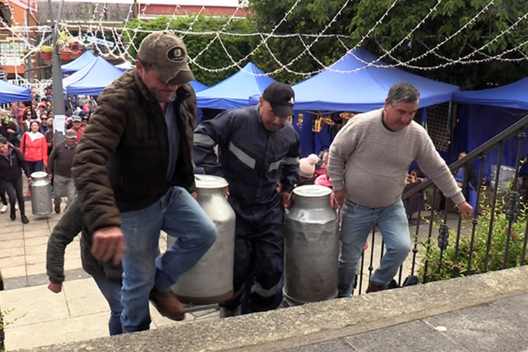 Productores lecheros emigraron a Nestlé y se reorganizan tras cierre de Chilolac en Ancud