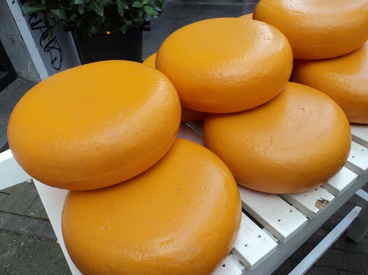 Las importaciones de leche equivalente siguen creciendo (+16%), impulsadas principalmente por el queso gouda