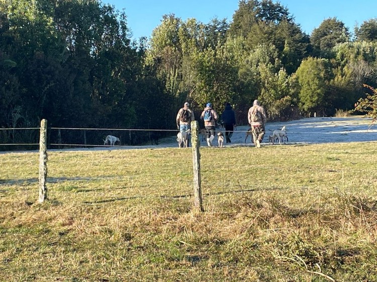 Agrollanquihue advierte preocupación por ingreso de personas con perros galgos a predios agrícolas