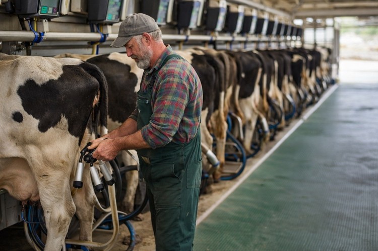 IFCN: El precio mundial de la leche se estabiliza tras cinco meses de subidas 