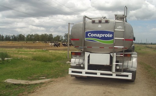 Uruguay: la remisión de leche creció 11,6% en junio, pero cae la rentabilidad