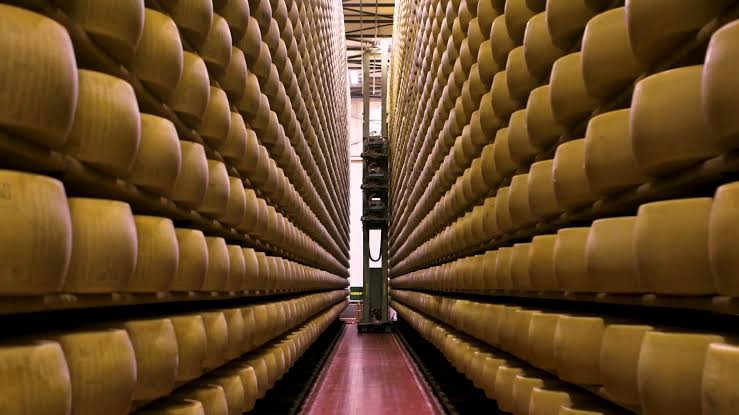 Qué son los “bancos de queso” y por qué el calor extremo pone en jaque un negocio de millones de dólares
