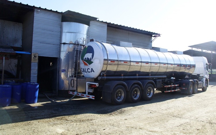 Ranking lácteo: cooperativas y grandes industrias sostienen crecimiento de la recepción de leche