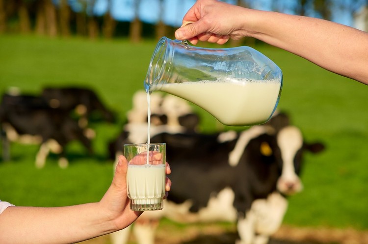 Más proteínas y menos grasas: Cómo está cambiando el mercado lácteo