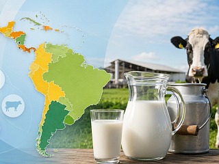 Leche: ¿Cuáles son los costos de producción en Latinoamérica?